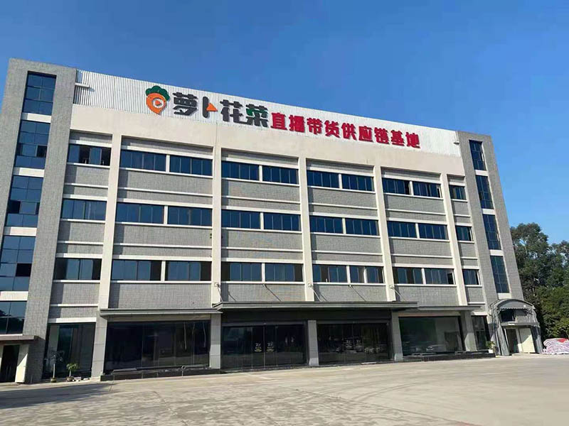 萝卜花菜供应链基地